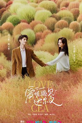 北京seo优化哪家合适